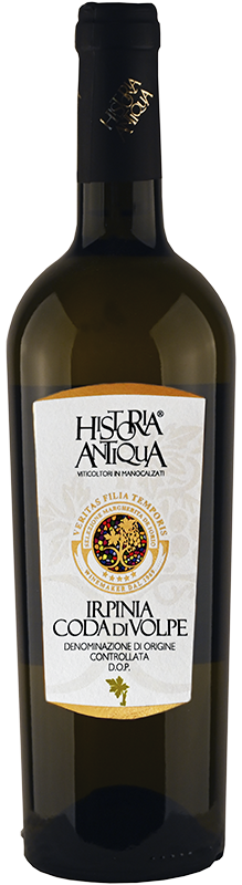 Historia Antiqua 2018 Coda di Volpe