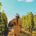 A sunny date in the vineyard during harvest