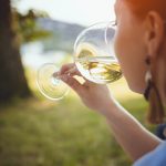 beginner's guide to wine tasting