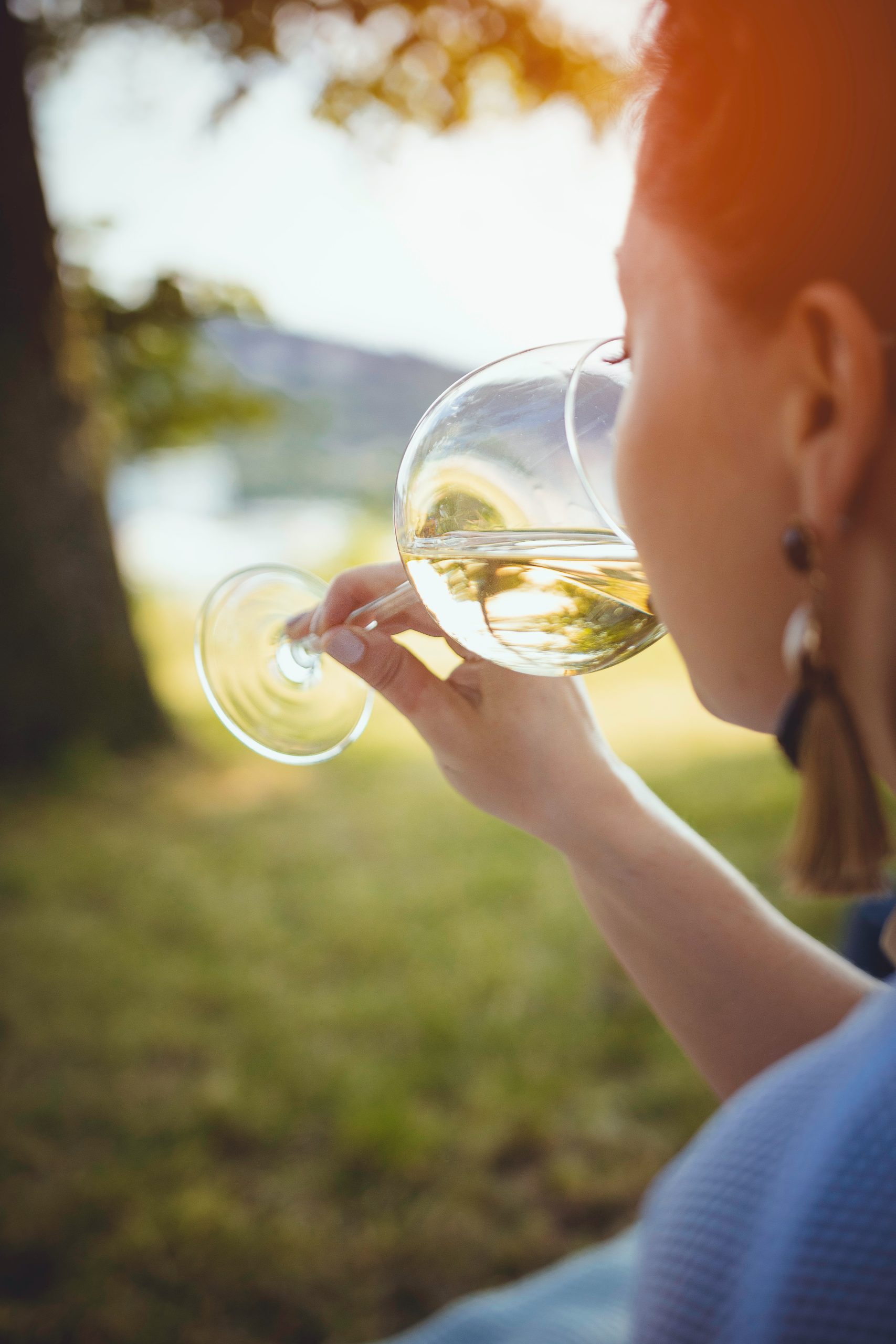 beginner's guide to wine tasting