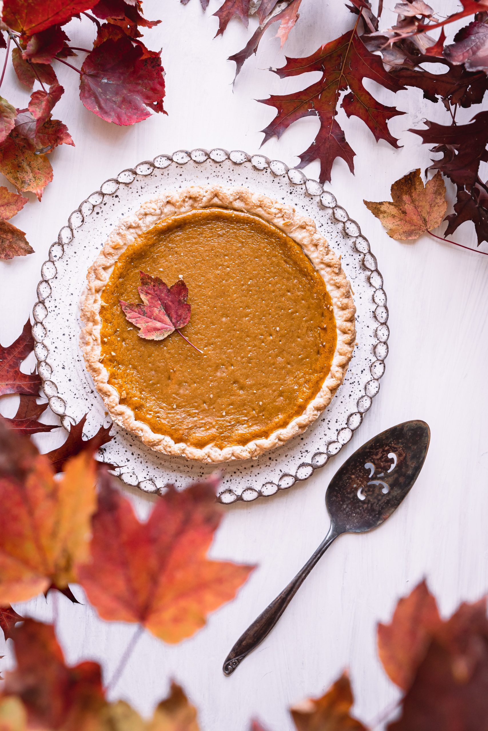 thanksgiving pumpkin pie