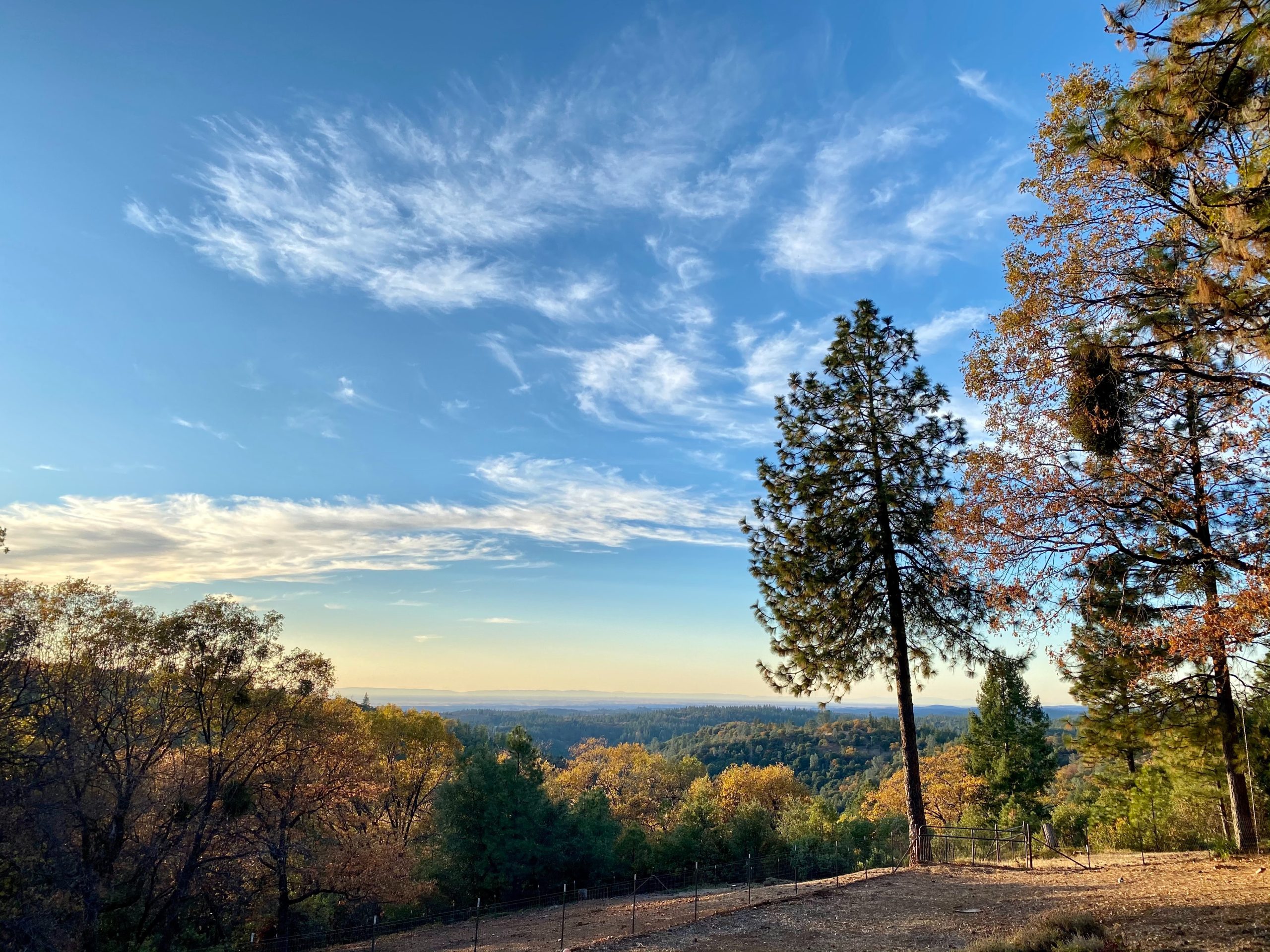 amador county wine region panorama