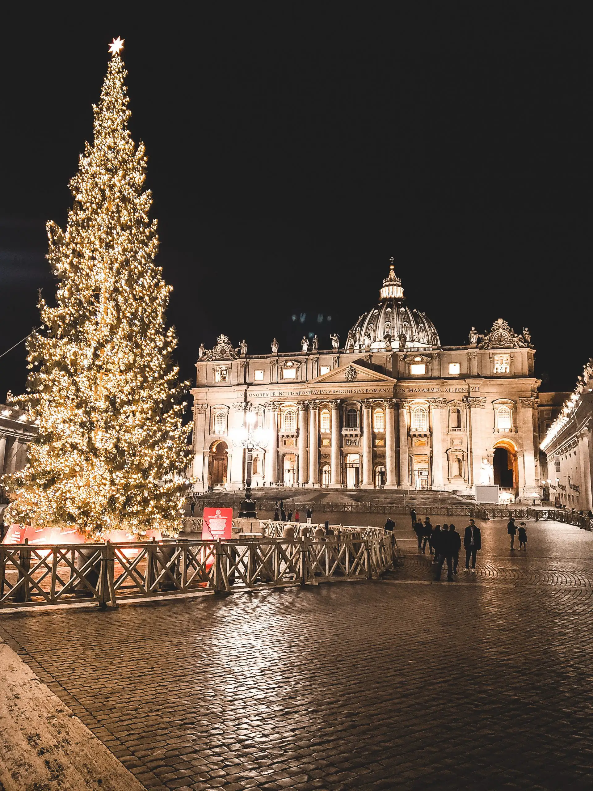 Illuminated Christmas tree in St. Peter’s Square with St. Peter’s Basilica at night in Vatican City.
