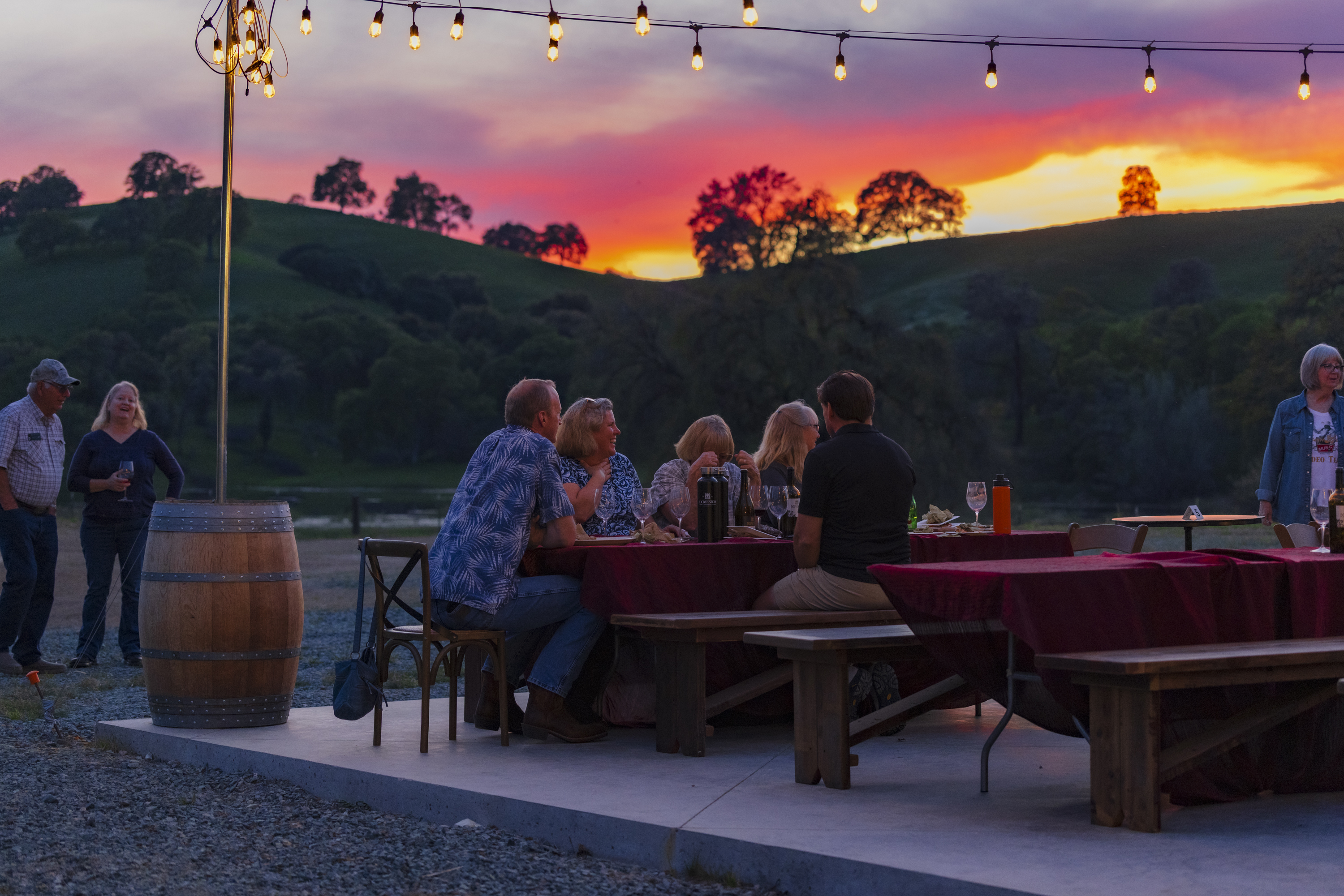 The Napa Valley Wedding: Find Value with Reason | Domenico Winery Domenico Winery |
