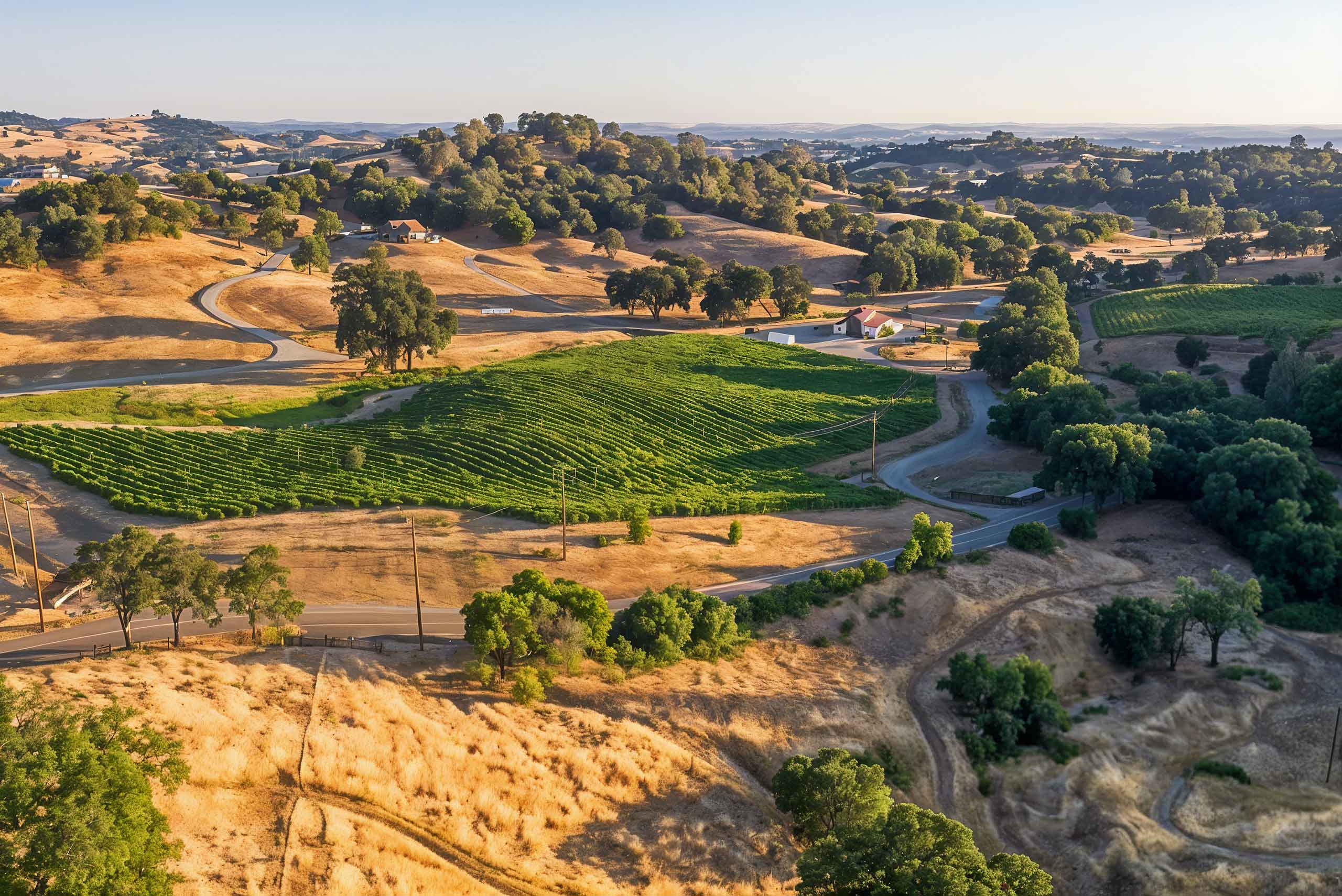 Aerial shot of the Amador Vineyards located near Domenico Winery in Ione