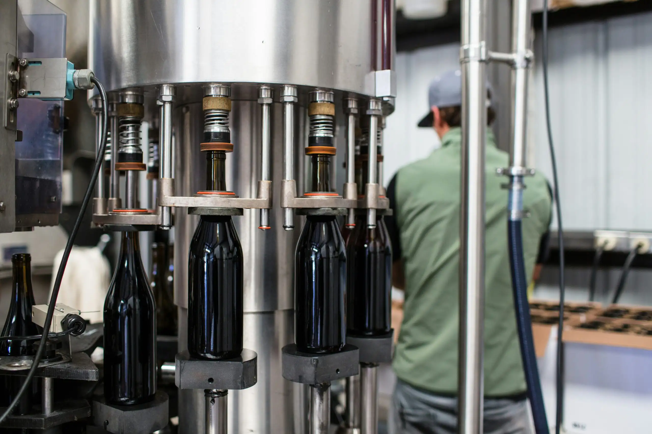 What Happens in a Winery During the Winter? | Domenico Winery Bottling process in a wine factory with filled glass bottles on the conveyor