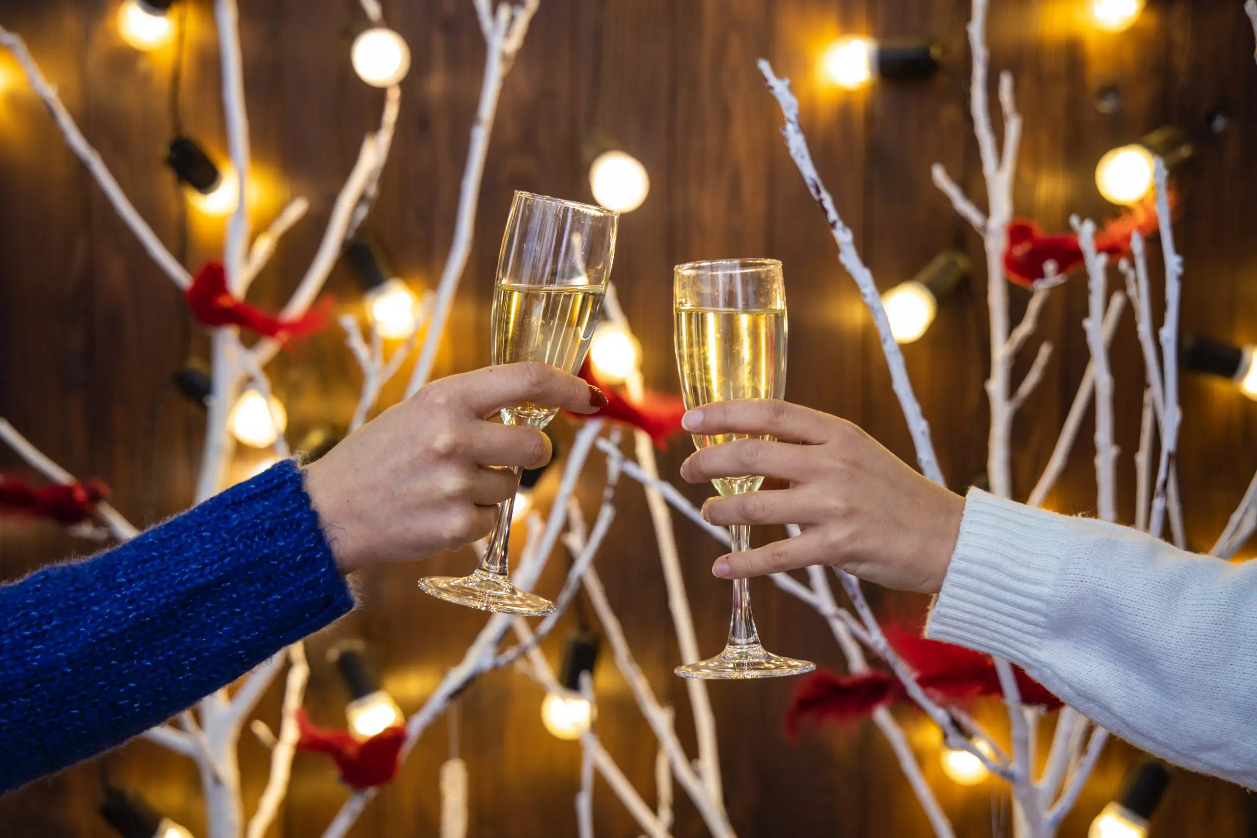 Your Guide to Holiday Food and Wine Pairings | Domenico Winery Two people toasting champagne glasses in front of festive lights