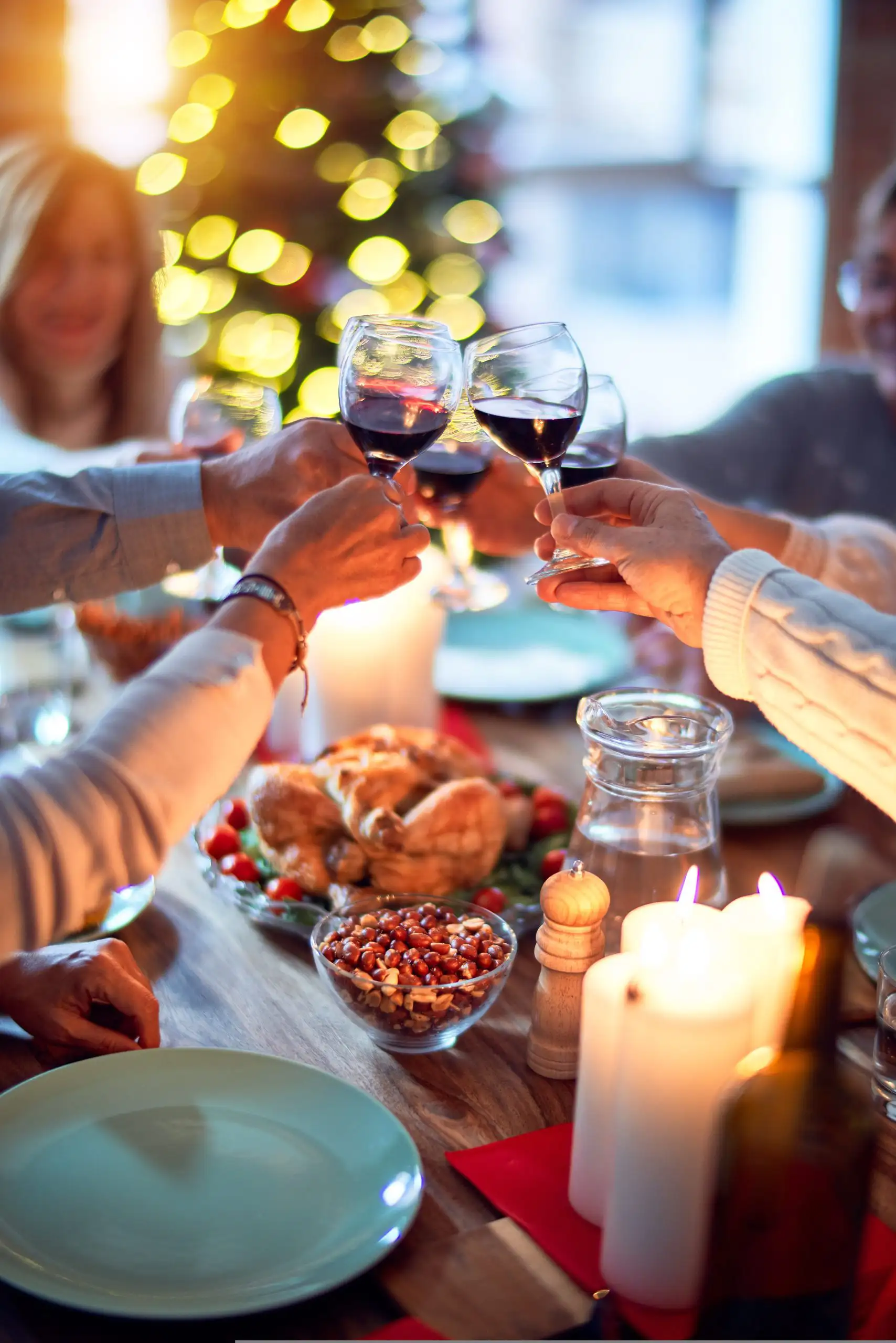 A Guide to the Best Wines for Christmas | Domenico Winery People toasting with glasses of red wine during a festive dinner with roast turkey and side dishes.