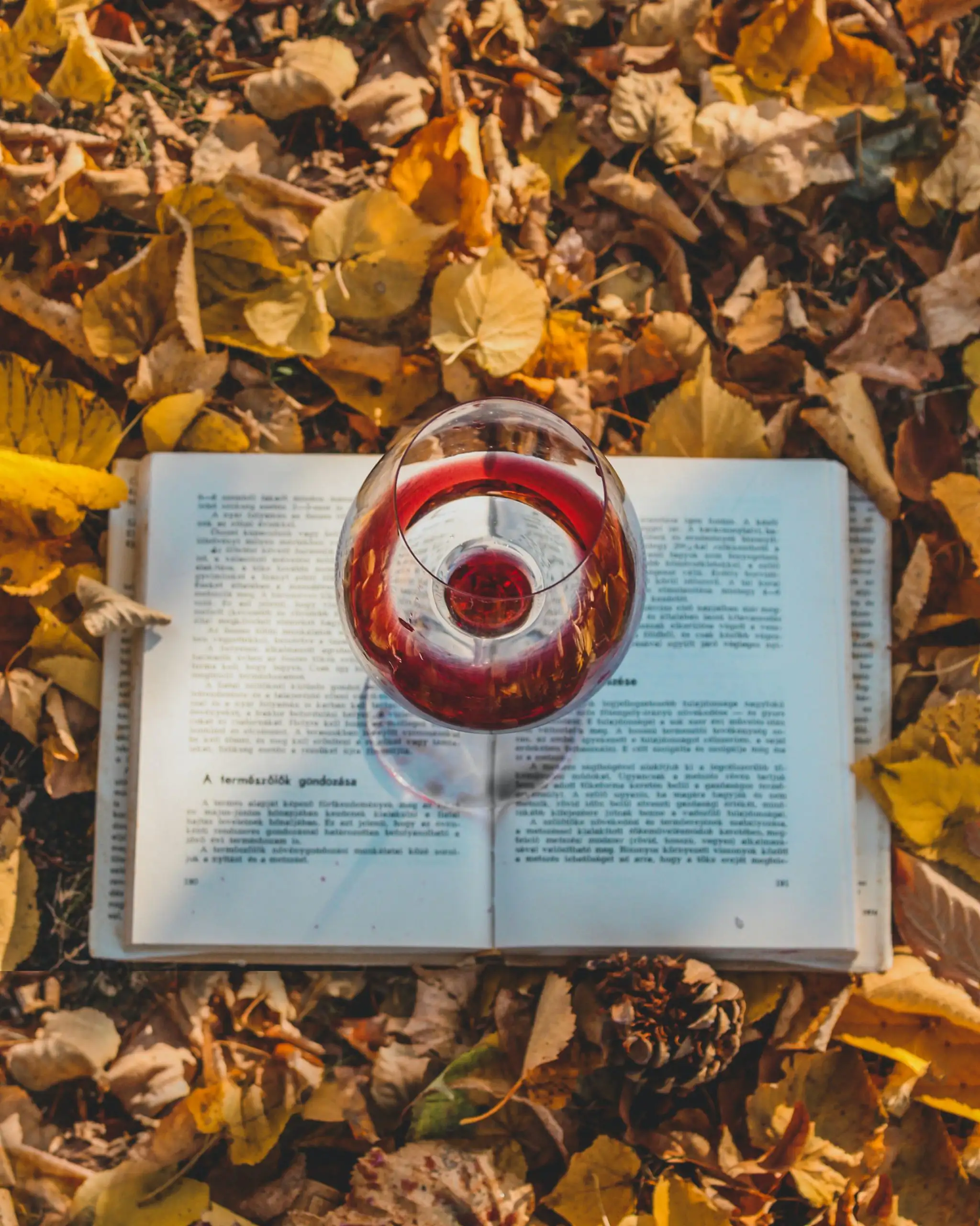 5 Wines for Fall to Spice Things Up | Domenico Winery A glass of red wine resting on an open book, surrounded by fallen yellow and orange autumn leaves on the ground.