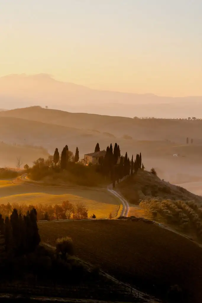 Italian Grapes 101: Sangiovese | Domenico Winery Sunrise over rolling hills in Tuscany with a farmhouse surrounded by cypress trees and a winding dirt road
