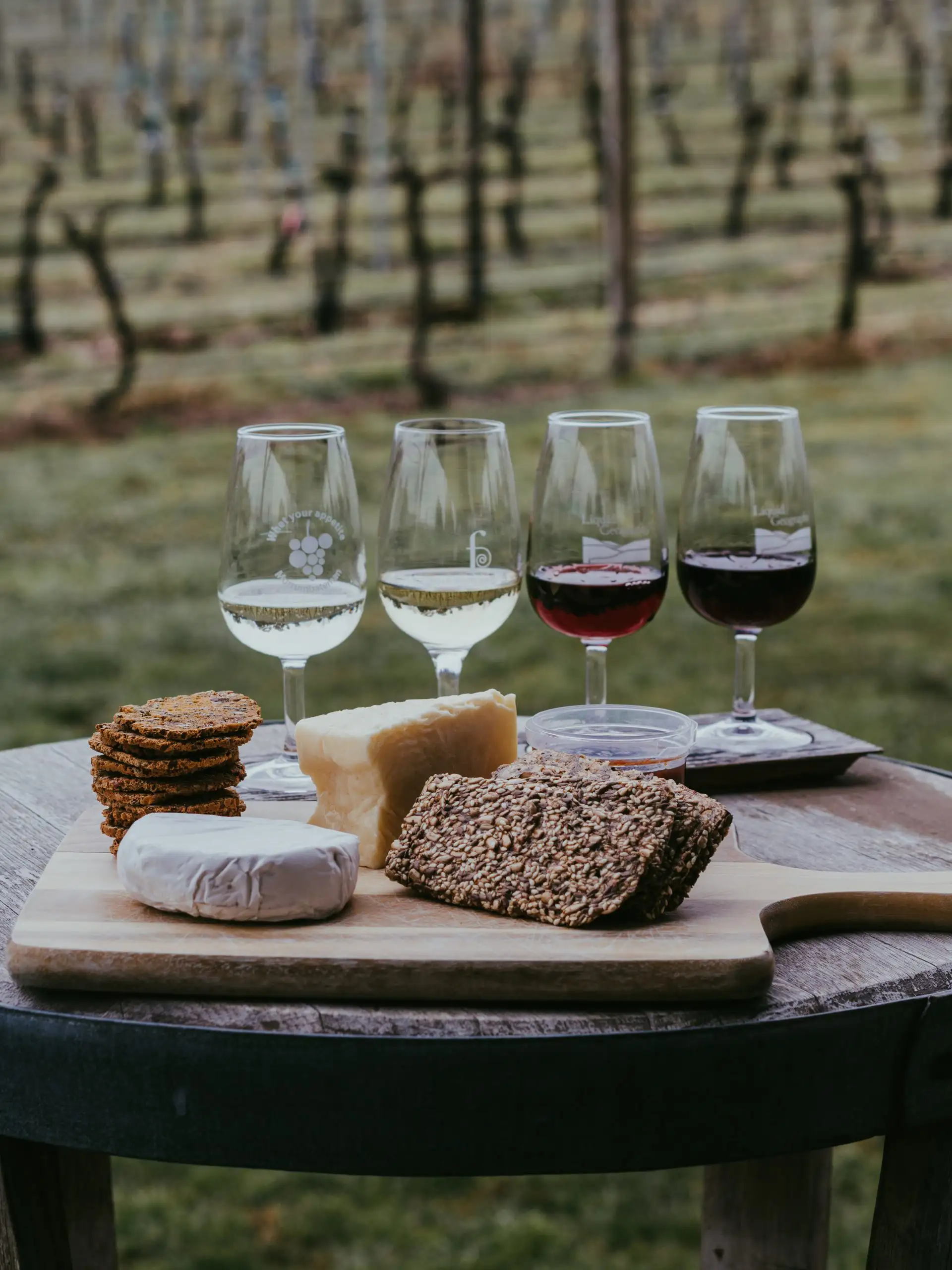 Cheese, crackers, and wine glasses in a vineyard setting
