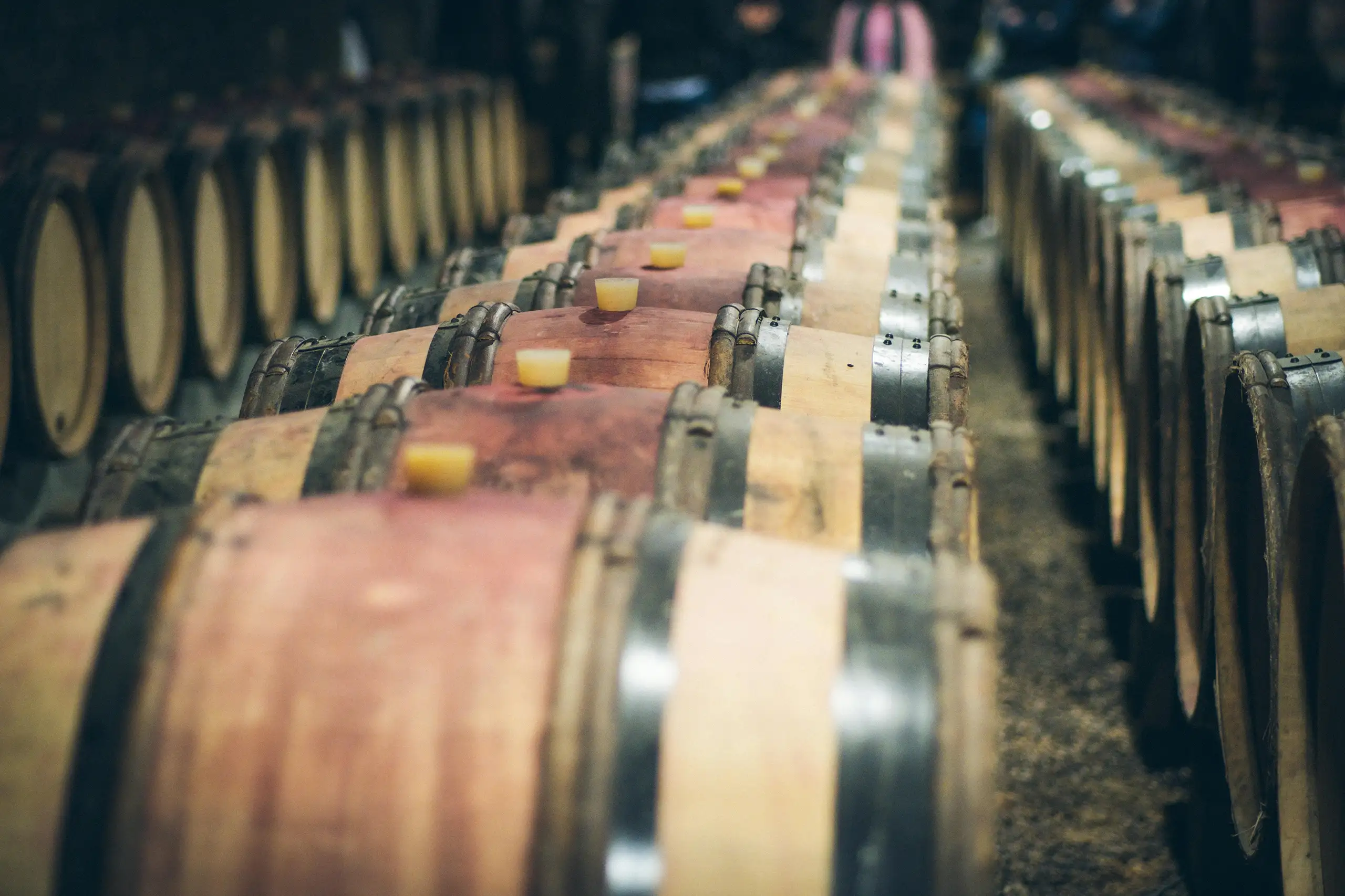 Rows of oak wine barrels aging in a dimly lit cellar with metal bands and cork stoppers visible