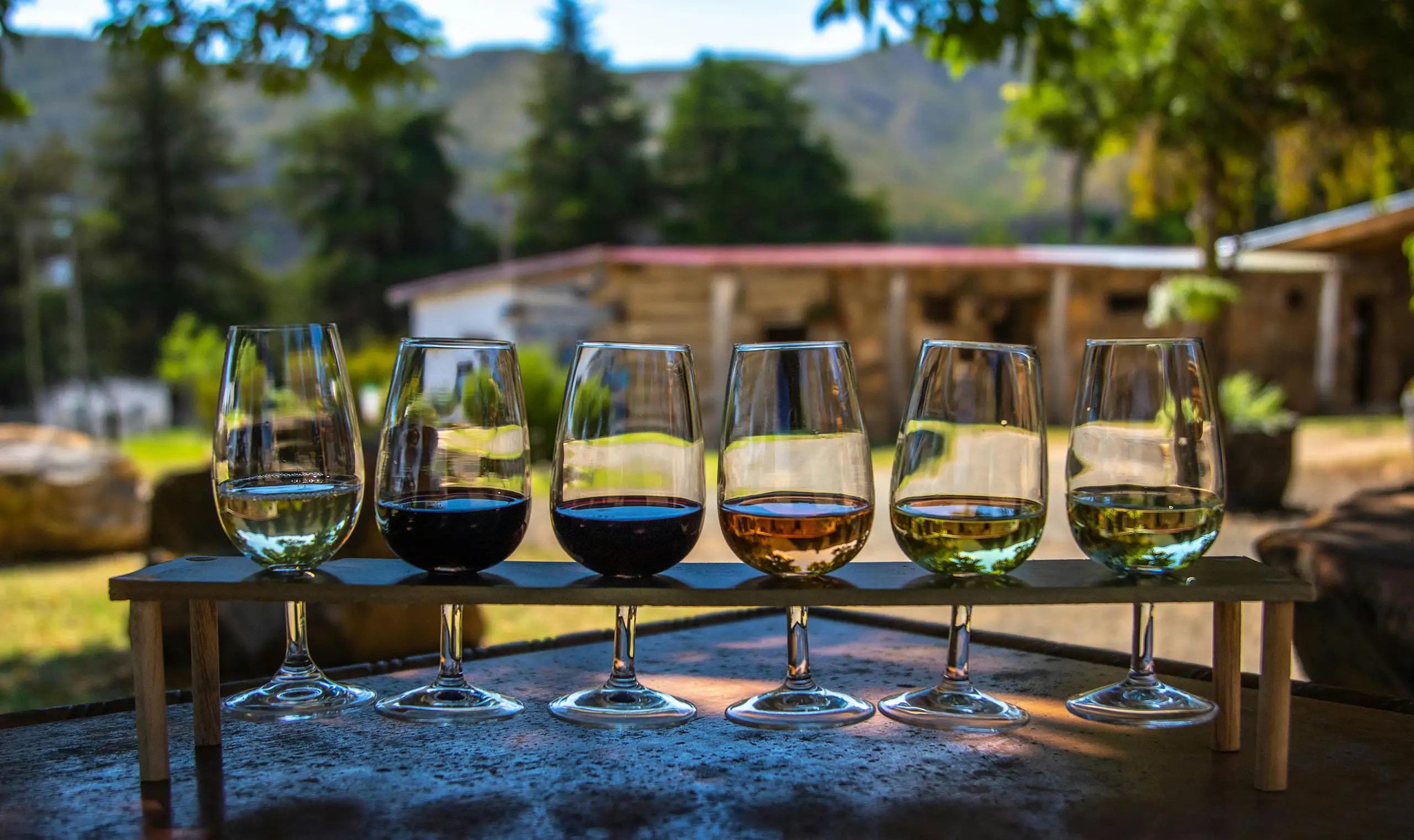Six glasses of red and white wine arranged on a tasting rack outdoors with vineyard scenery in the background